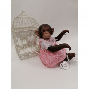 Lola la chimpancé vestido...