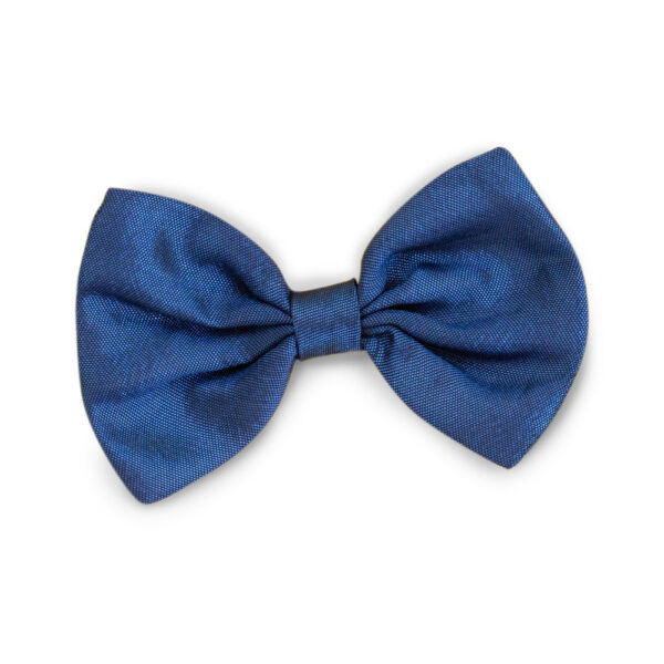 CONJUNTO DE ROPA DE PELUCHE LUCKY DOGGY: CIELO LLENO DE ESTRELLAS - Imagen 4