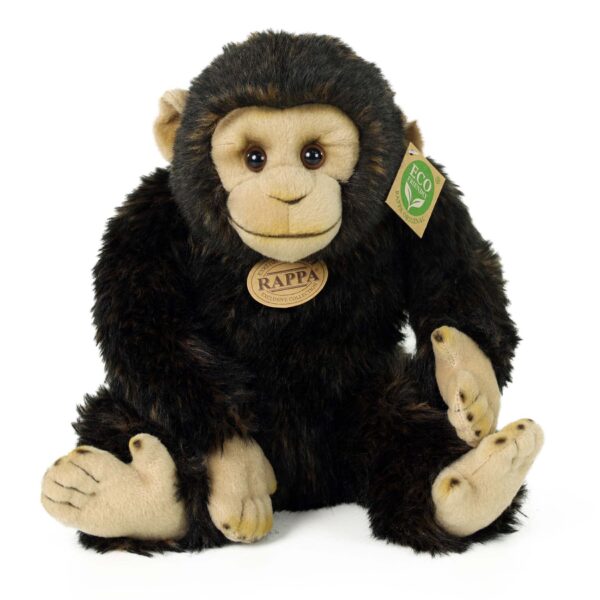 Chimpancé