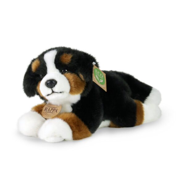 Perro Bernese