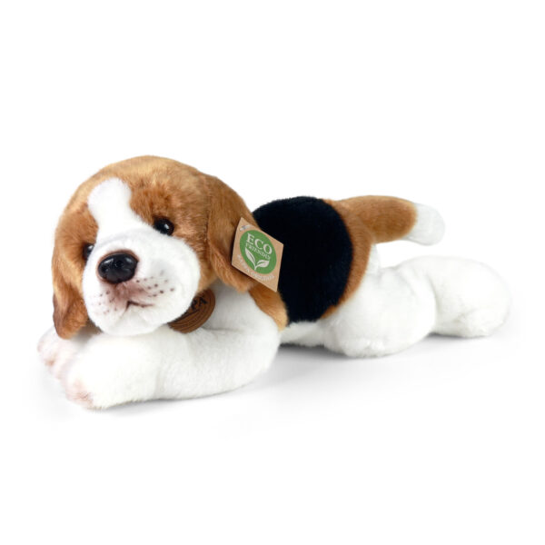 Perro Beagle