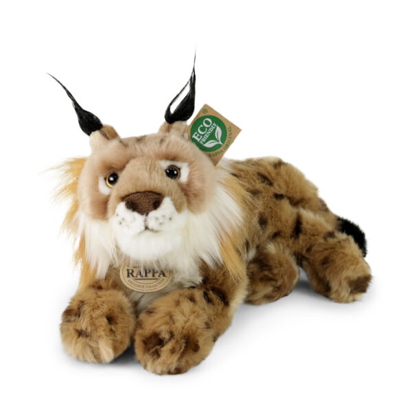 Lince