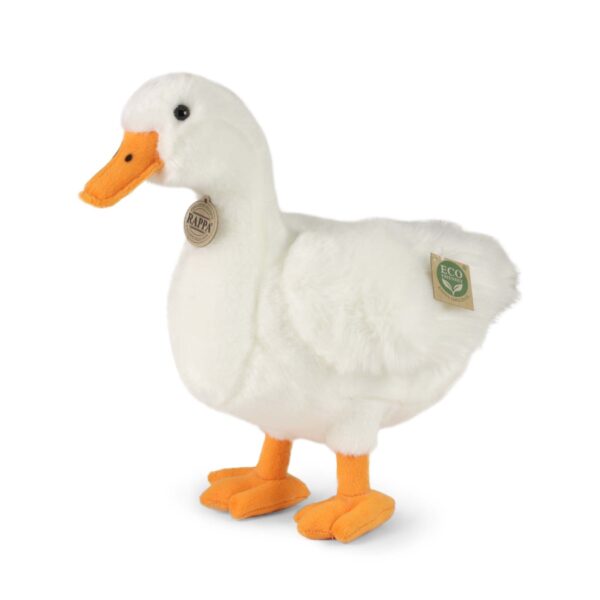 pato