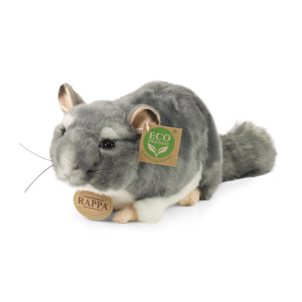 Chinchilla