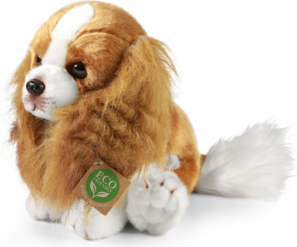 CAVALIER KING CHARLES SPANIEL ECO FRIENDLY