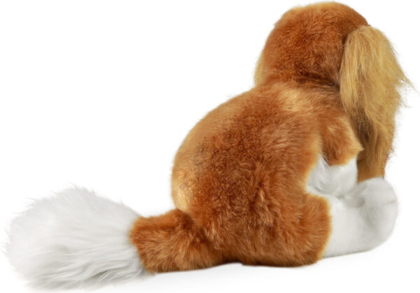 CAVALIER KING CHARLES SPANIEL ECO FRIENDLY - Imagen 3
