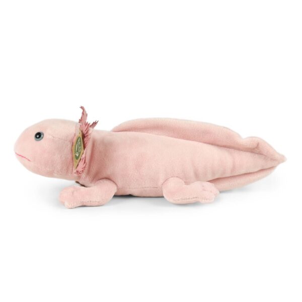 AJOLOTE 33CM ECO-FRIENDLY - Imagen 3