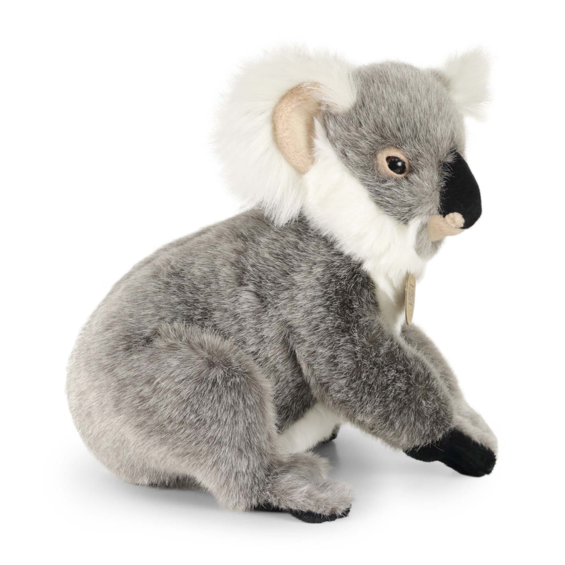 KOALA 25CM - Imagen 3