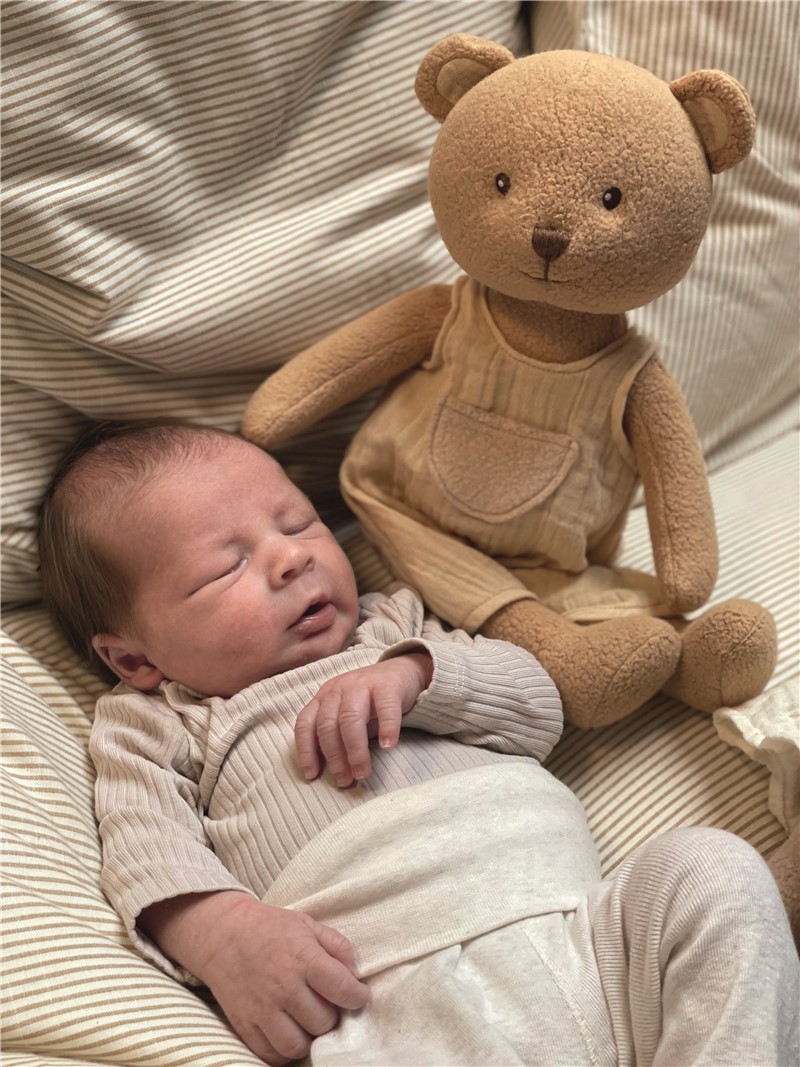 OSO MARCEL GRANDE 40CM - Imagen 2