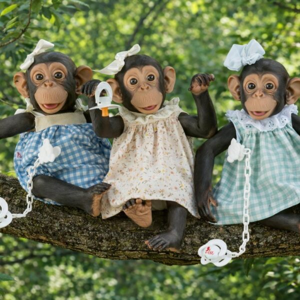 CHIMPANCÉ REBORN