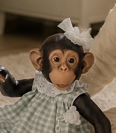 LOLA LA CHIMPANCÉ VDO CUADROS VERDE LAZO TUL CABEZA - Imagen 2