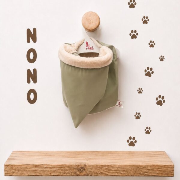 CHUBASQUERO VERDE PARA NONO EL BULLDOG