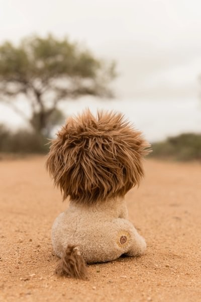 LEÓN PELUCHE 17 CM SAFARI FRIENDS - Imagen 3