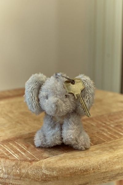 LLAVERO ELEFANTE LITTLE DUTCH - Imagen 2