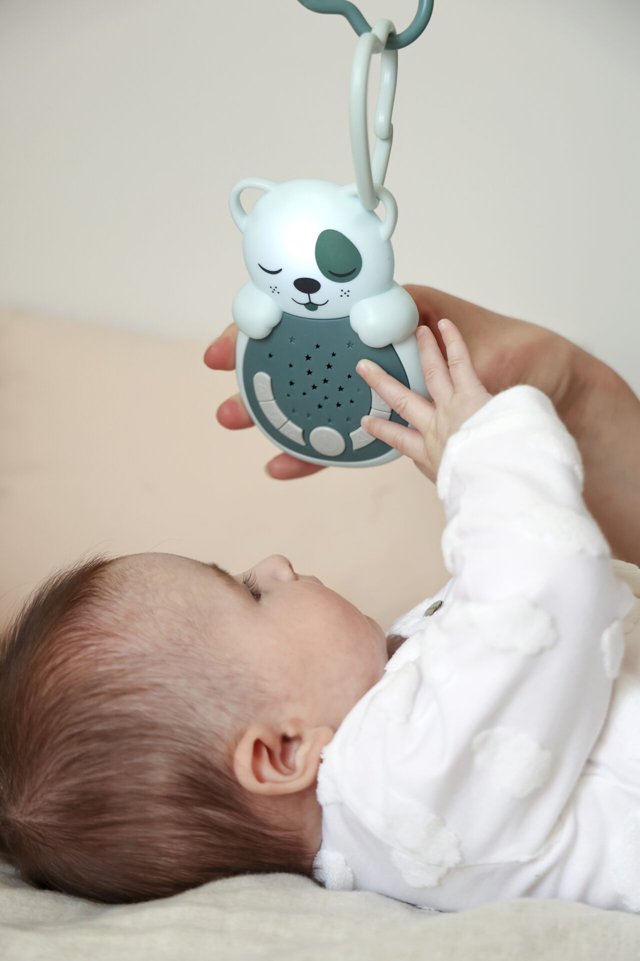 SWEET DREAMZ ON THE GO . PERRO AZUL - Imagen 5