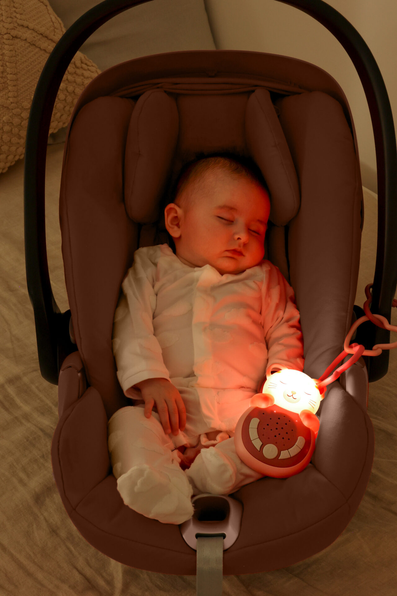 SWEET DREAMZ ON TO GO GATO ROSA - Imagen 4